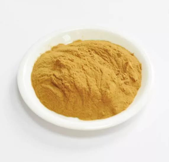 Сухой экстракт сушеницы трава - дубильная кислота 4% (трава) (лат. Cudweed)